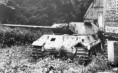 /album/panzerkampfwagen-v-panther/a197-jpg/