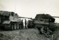 /album/panzerkampfwagen-vi-tiger/a021-jpg1/
