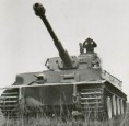 /album/panzerkampfwagen-vi-tiger/a165x-jpg/