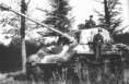 /album/panzerkampfwagen-vi-konigstiger/a022-jpg2/